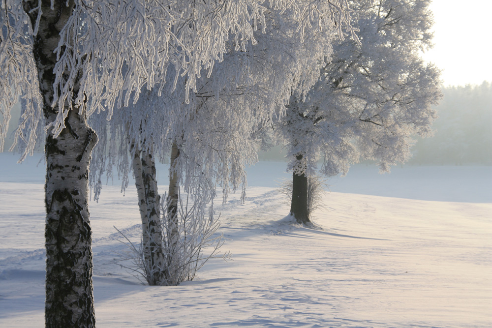 Winterkälte