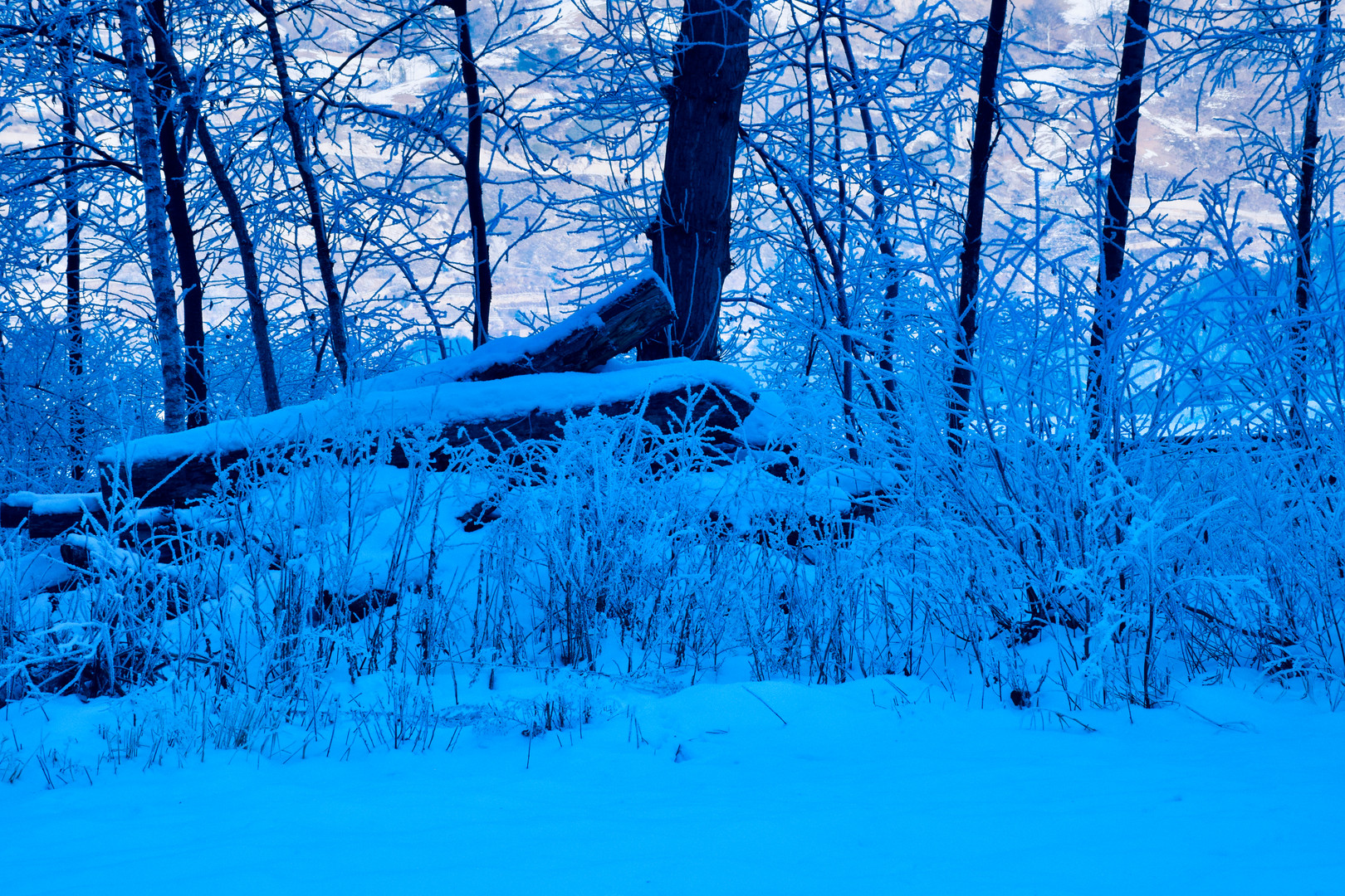 Winterkälte