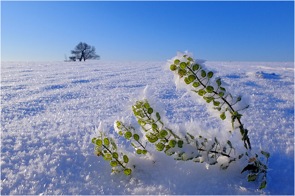 Winterkälte