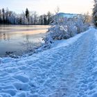 Winterkälte am Sternenweiher