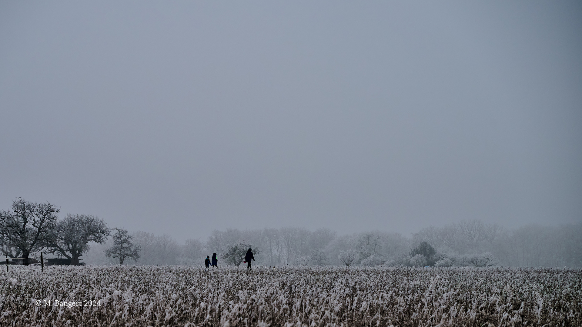 Winterkälte