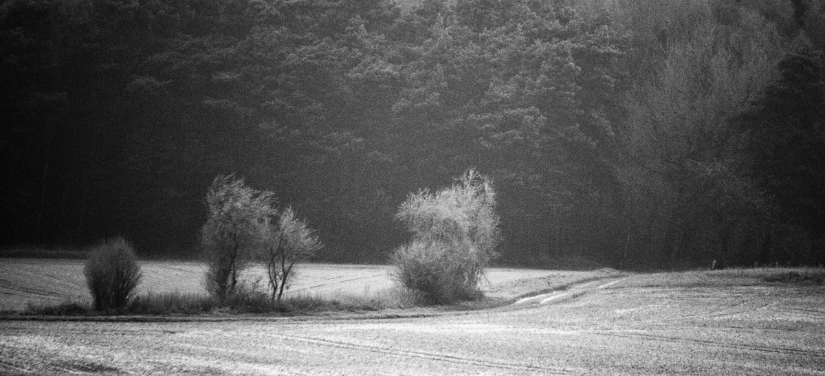 Winterkälte, monochrom