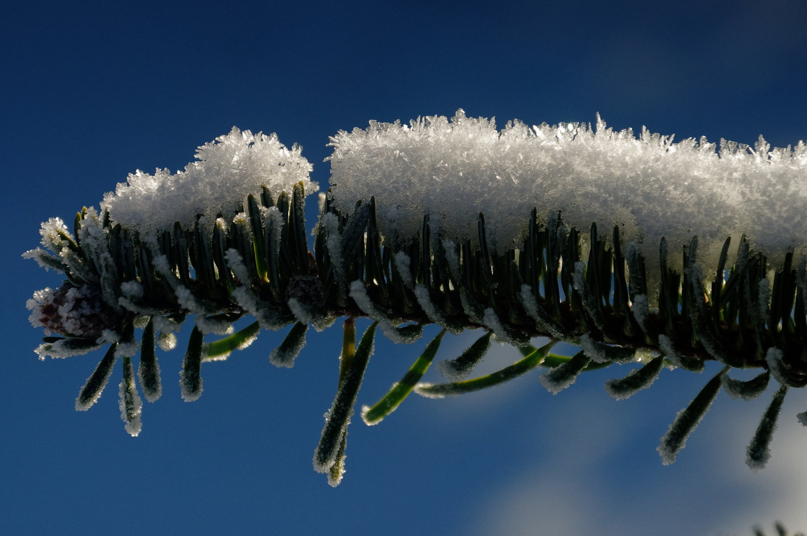 Winterkälte = Winterschmuck