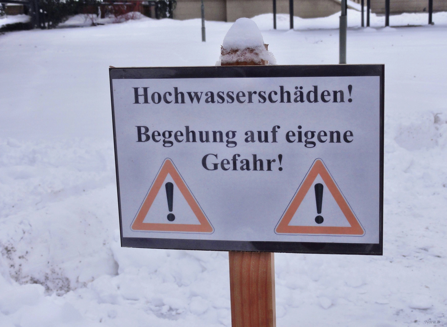 -Winterkapriolen- (2013)