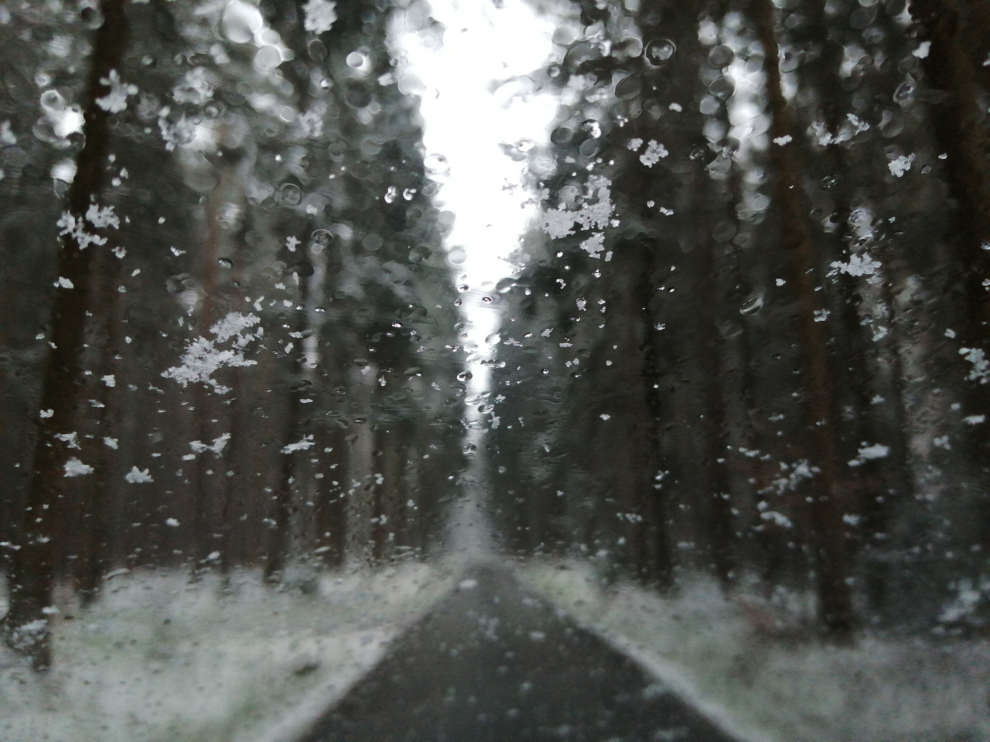 Winterkapriolen im April