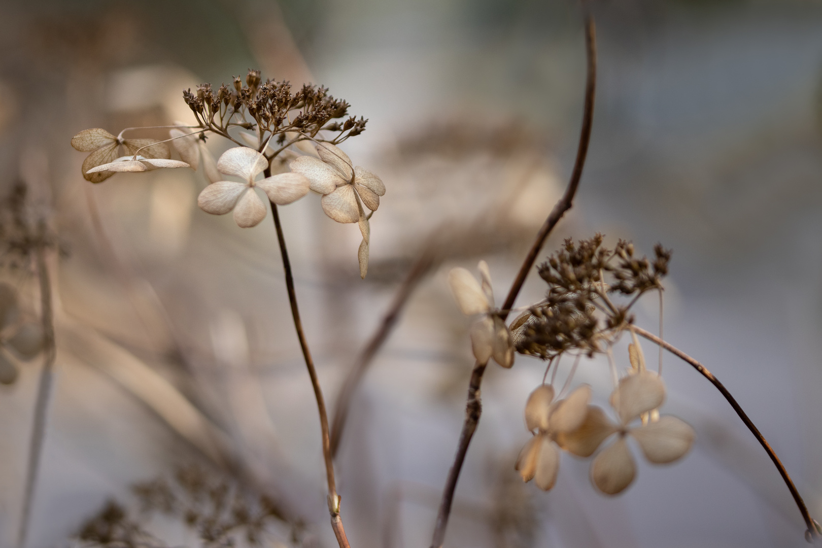 Winterkleid