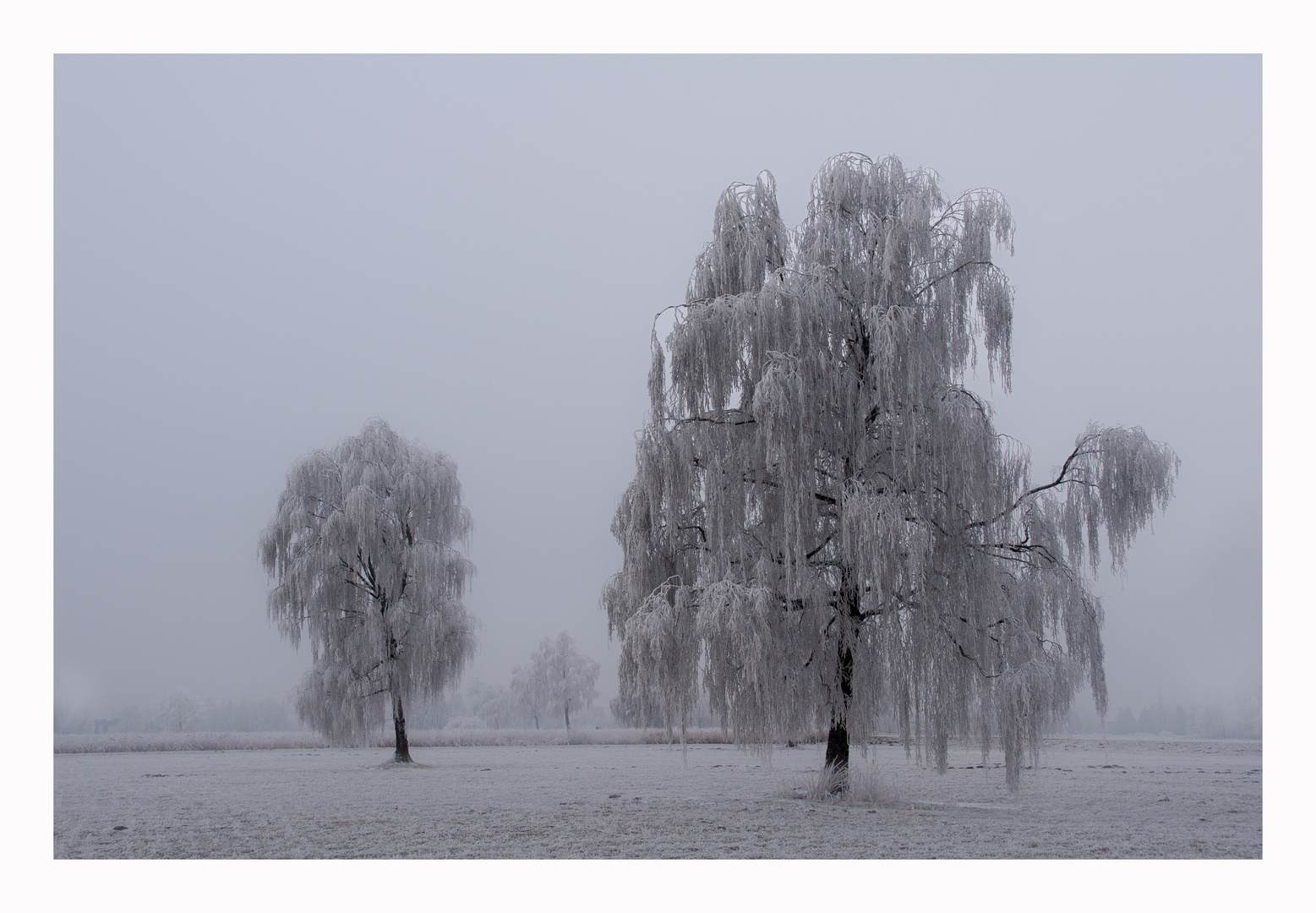 Winterkleid 