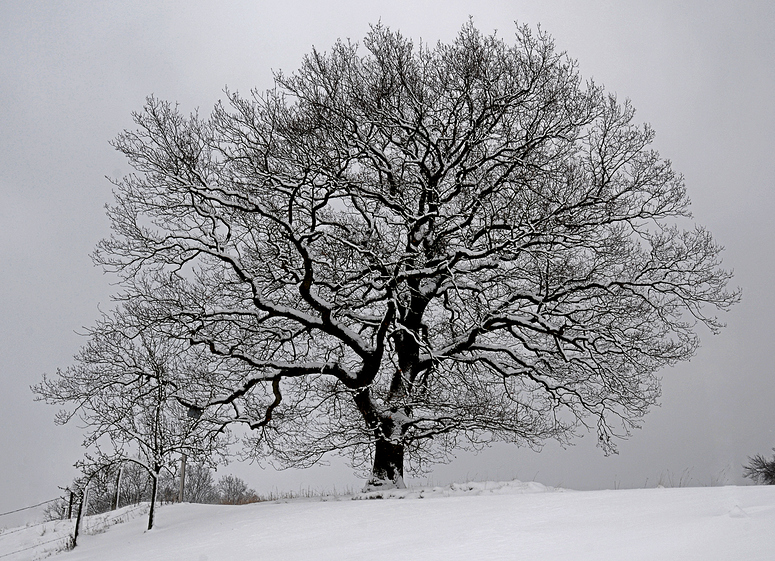 Winterkleid