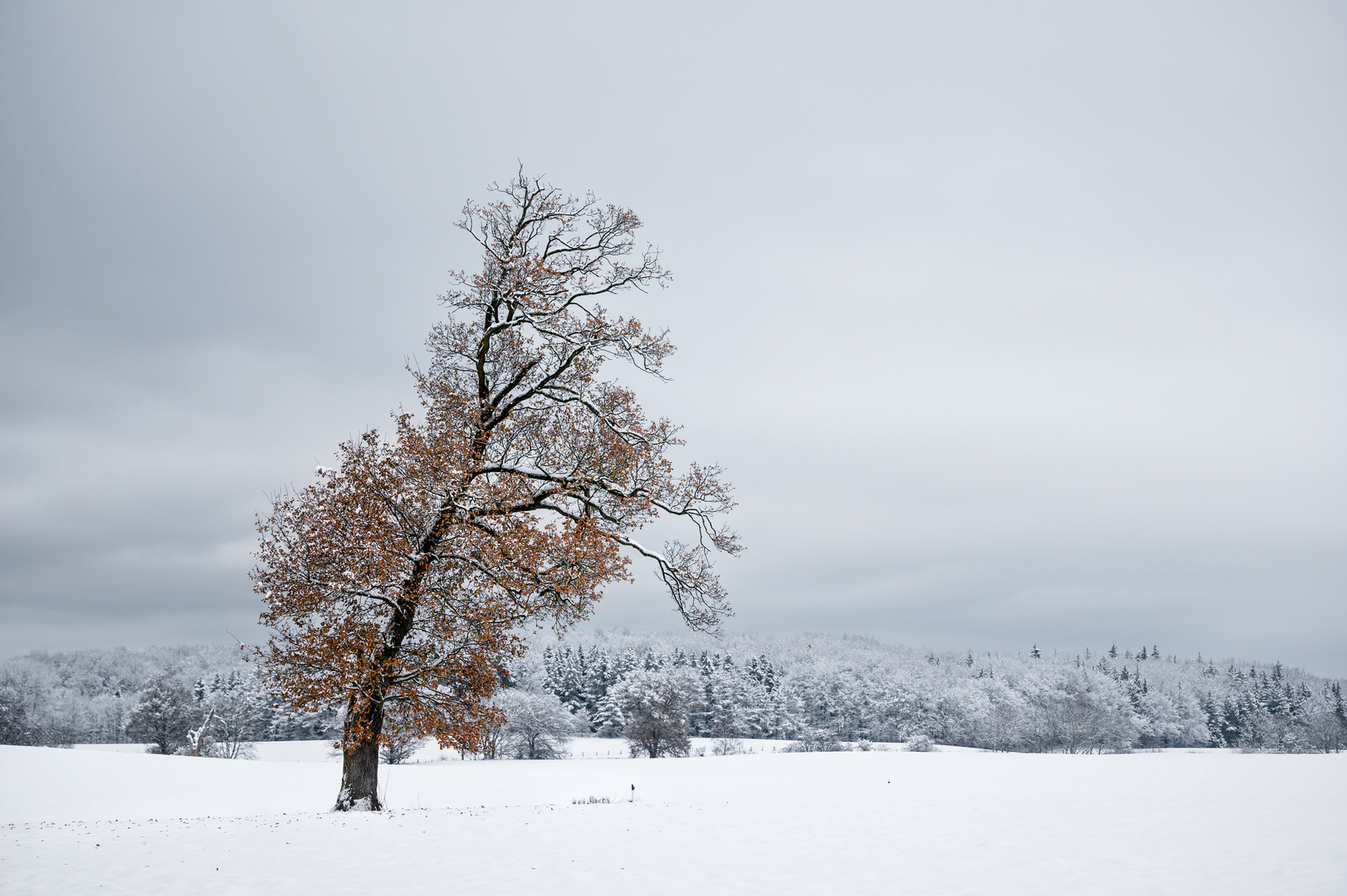 Winterkleid