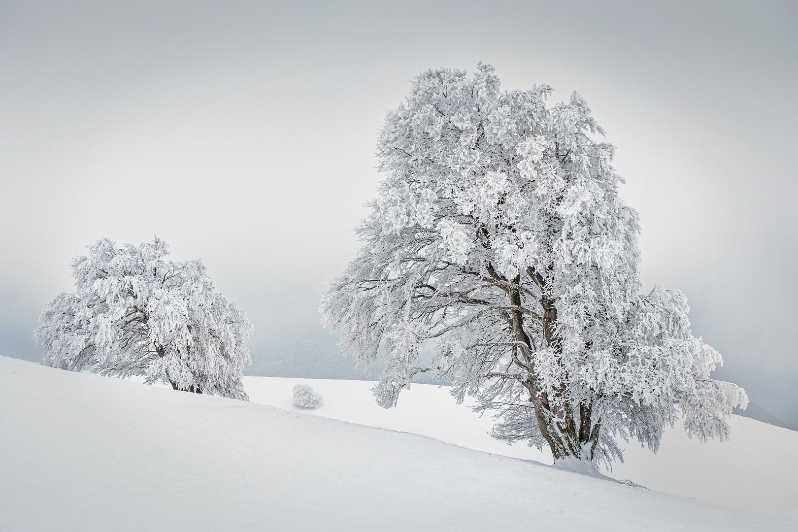 Winterkleid