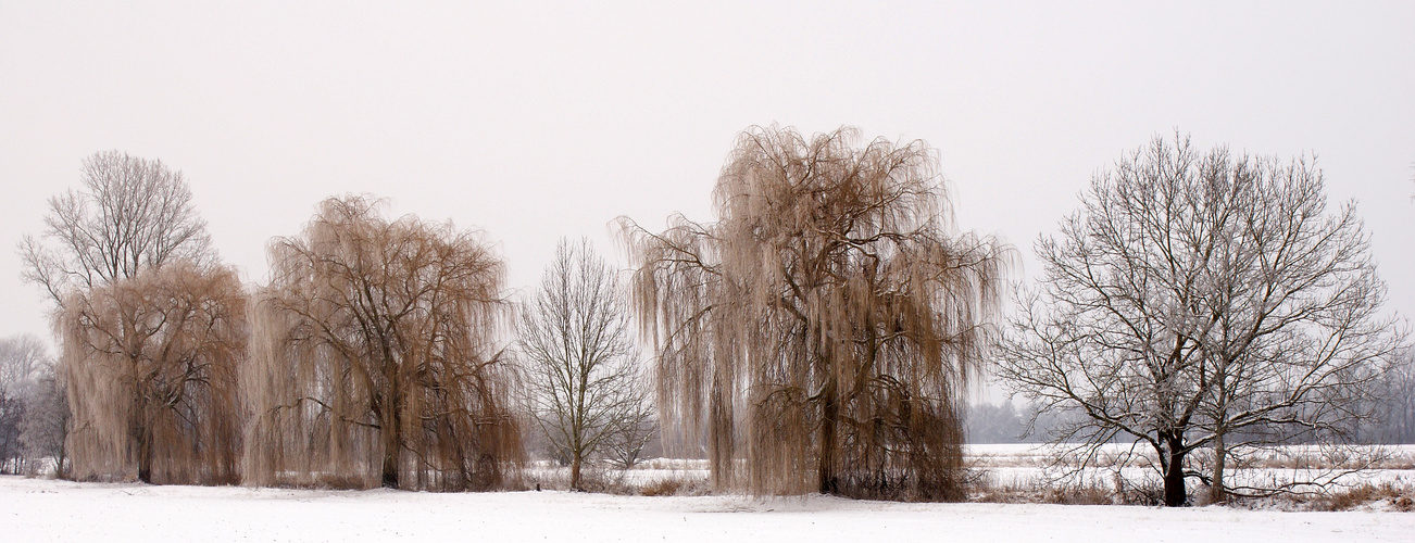 Winterkleid