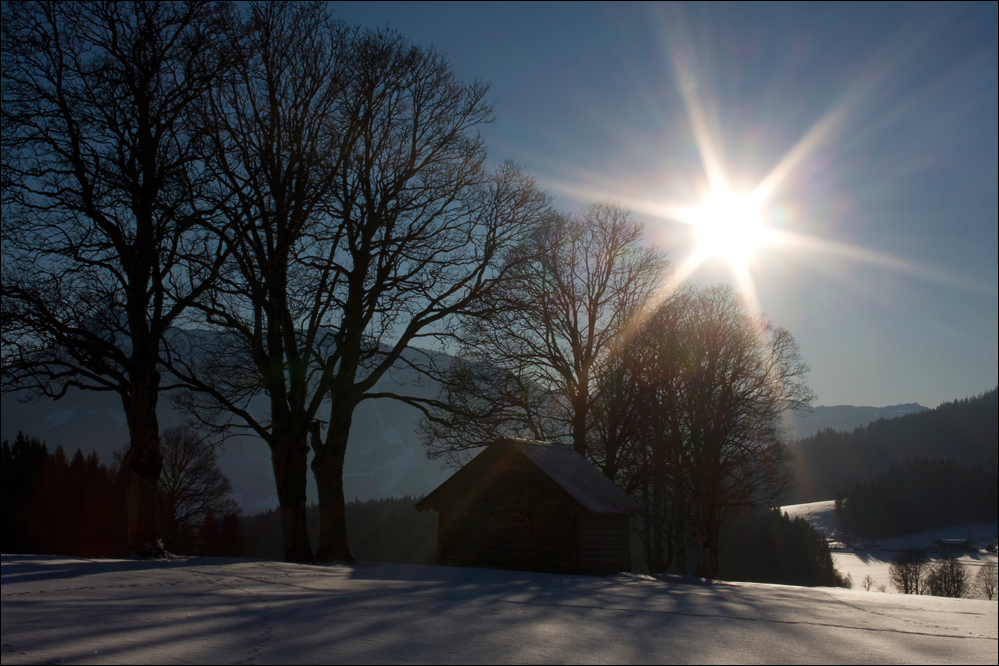 winterkleid