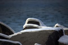 Winterkleid auf der Insel Hiddensee
