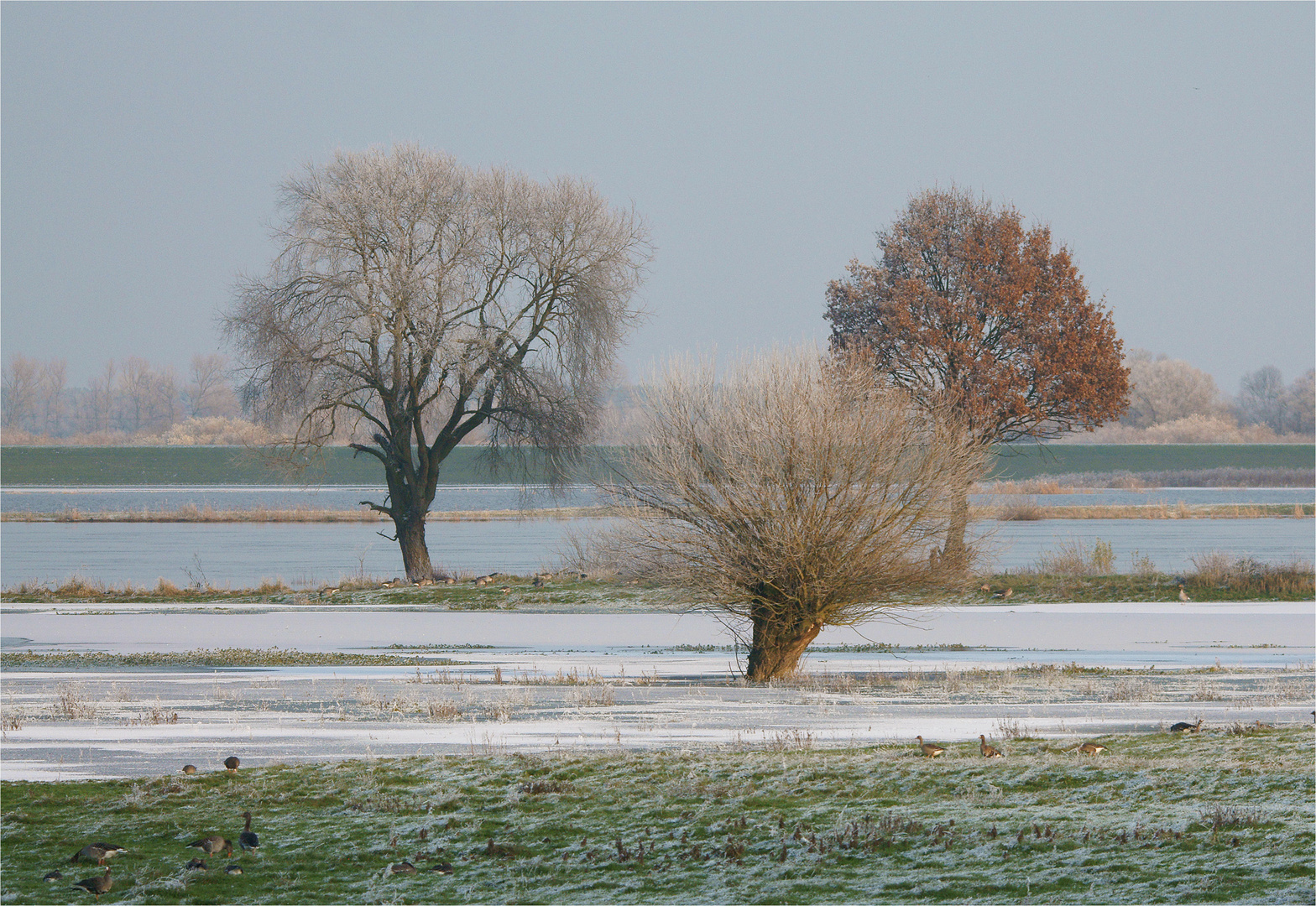 Winterkleid