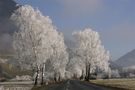 *Winterkleid* von Susanne Cermak-Kurka