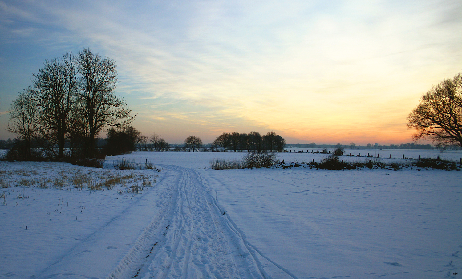 Winter...klirrende Kälte_1