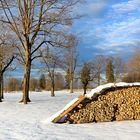 Winterkollektion - natürliche Kontraste