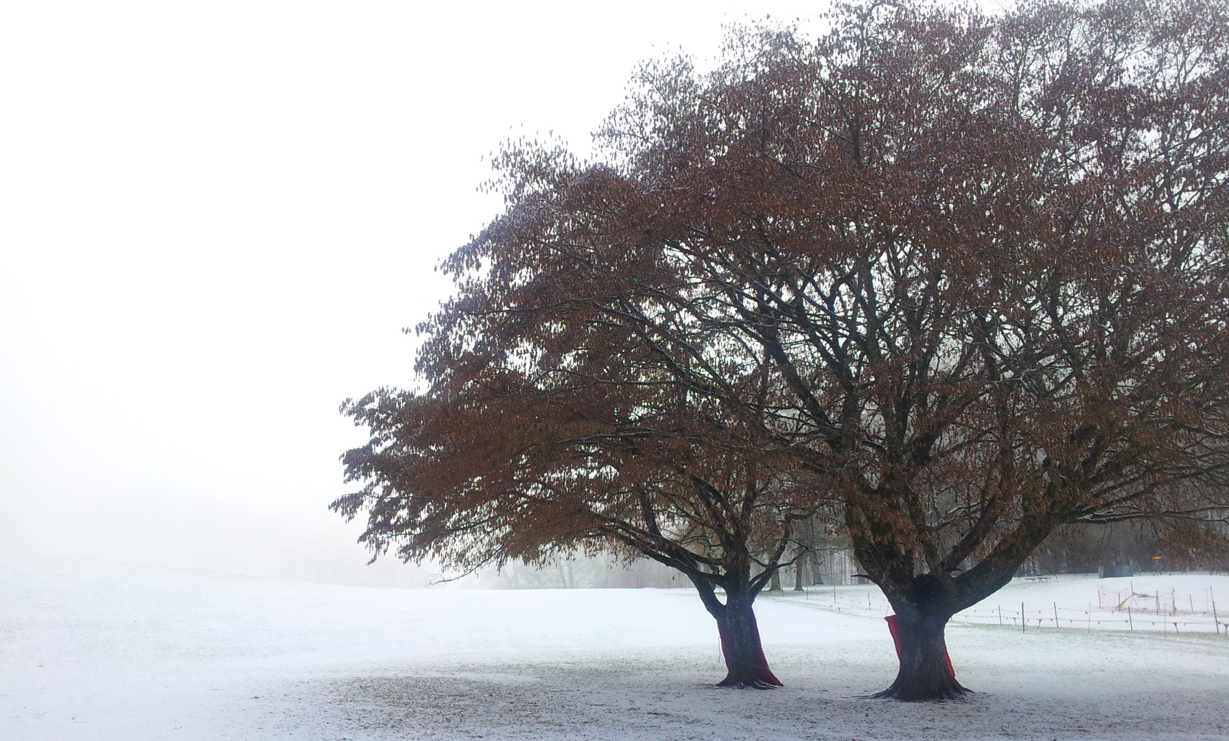 Winterkontrast