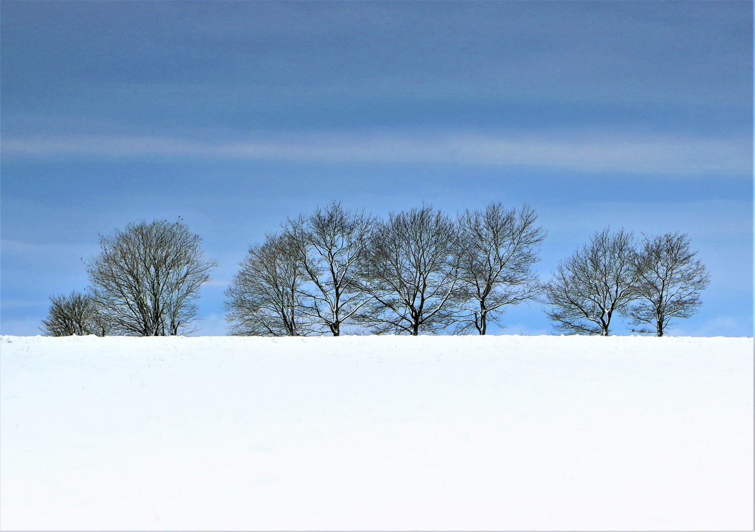 Winterkontrast