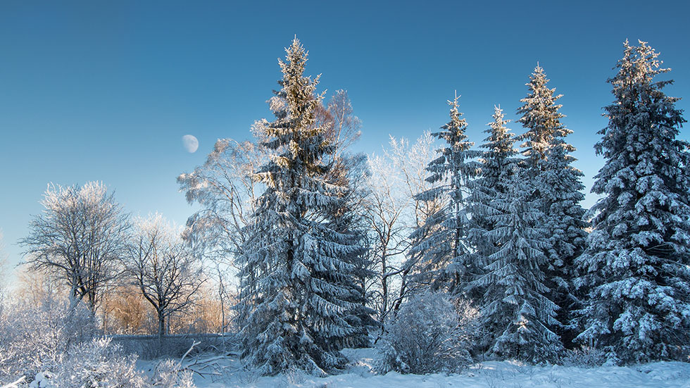 Winterkontraste