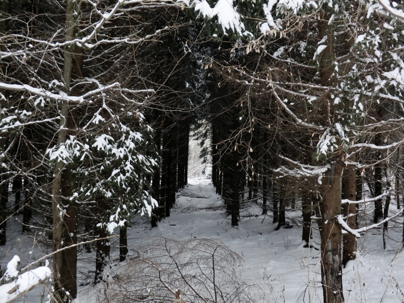 Winterkorridor
