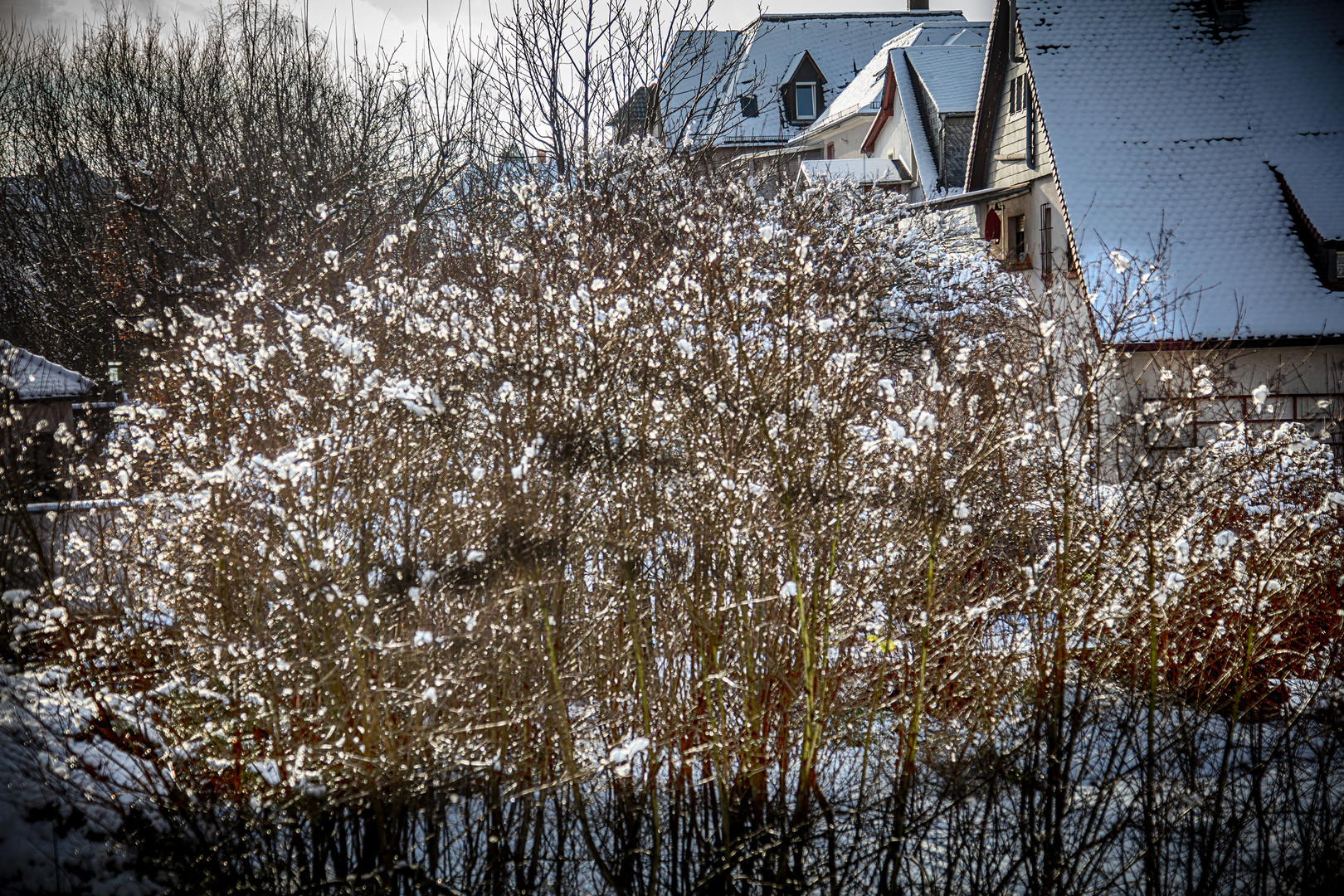 Winterkristalle Kopie