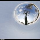 Winterkugelspiegelung - Ball reflexions in wintertime