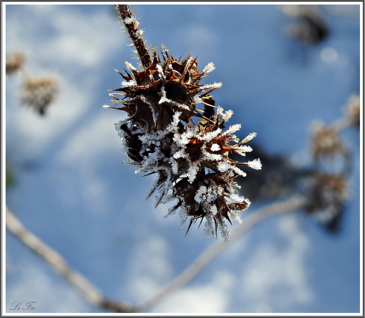 Winterkunst