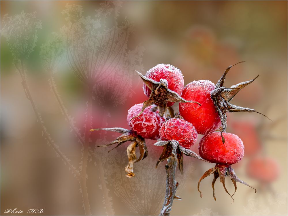 WINTERKUNST