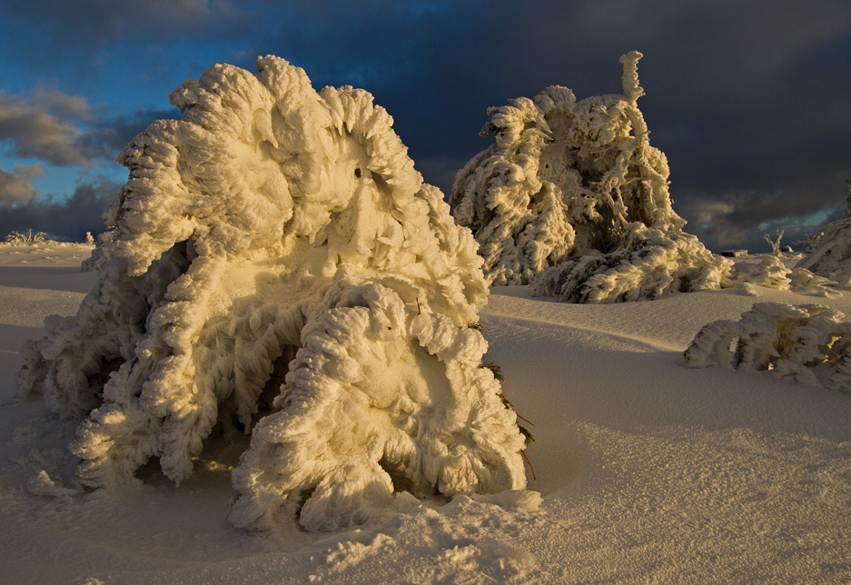 Winterkunst...