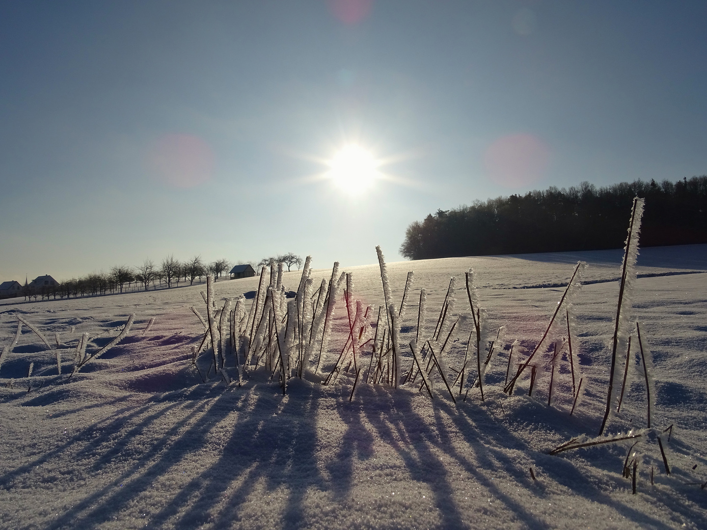 "Winterkunst"