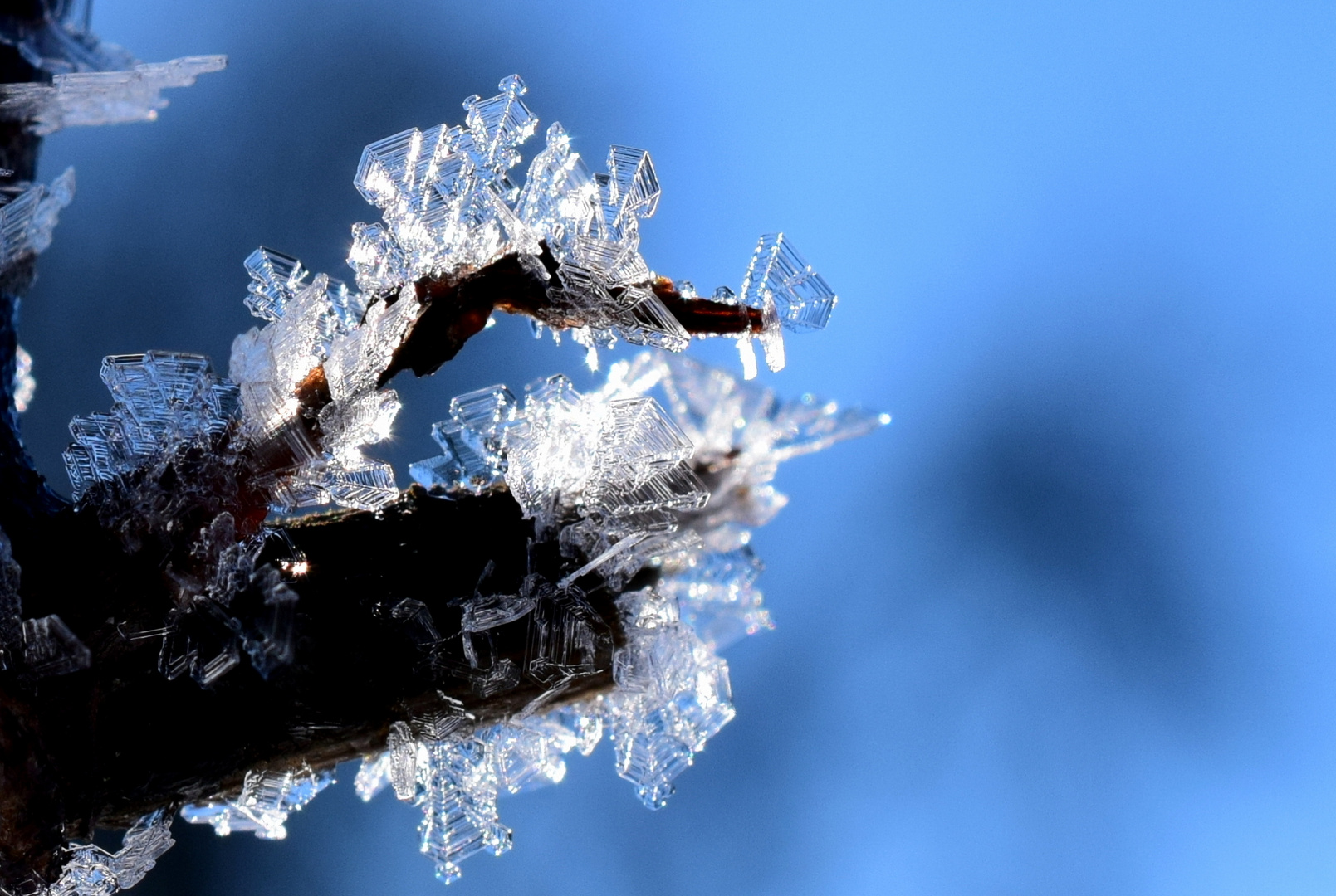 Winterkunst