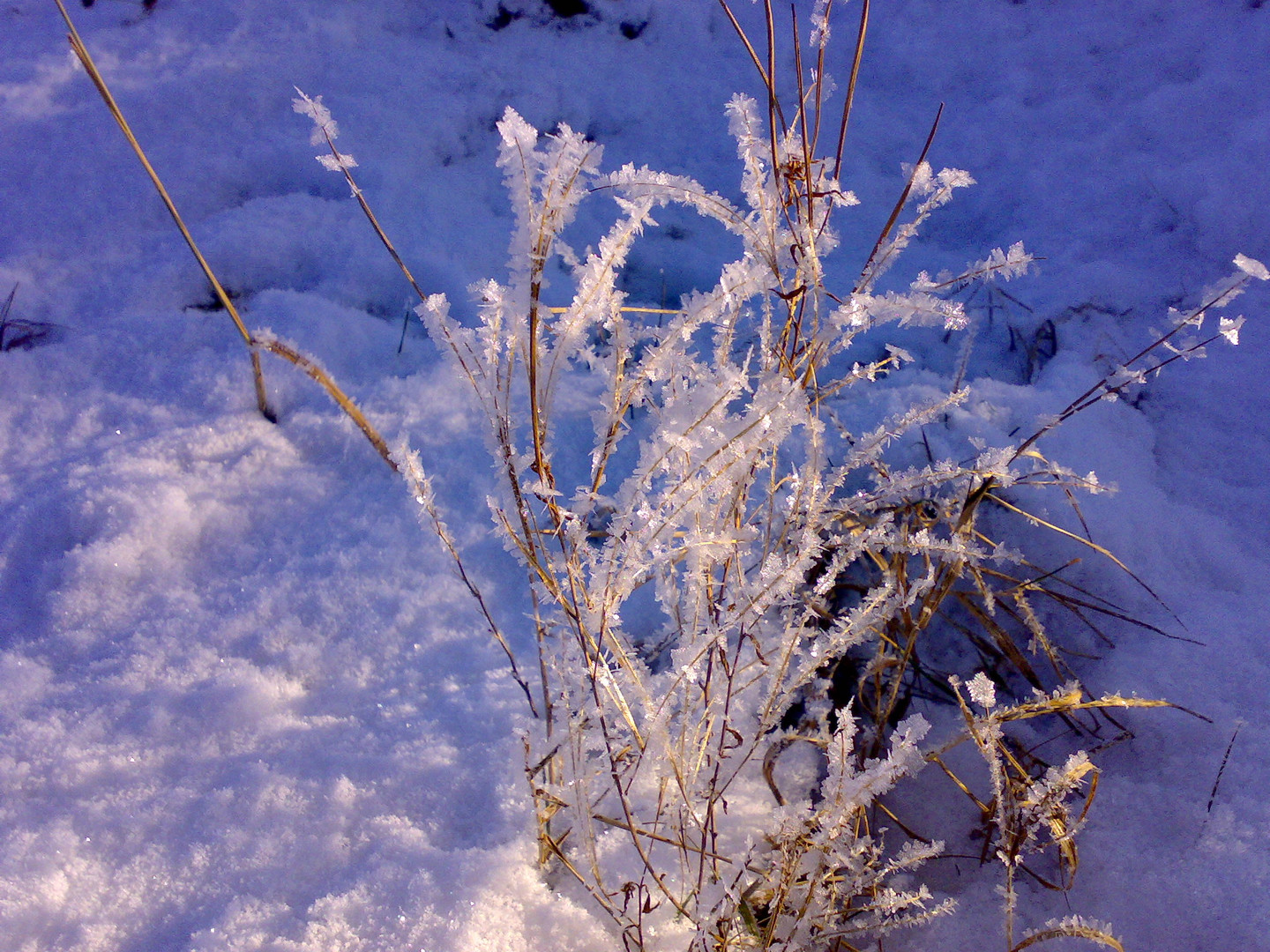 Winterkunst