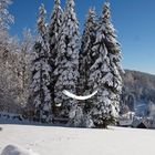 Winterlächeln