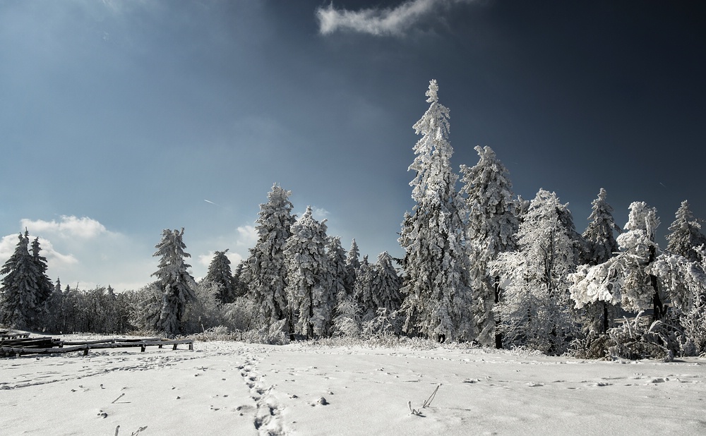 Winterland 1