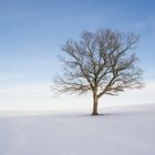 Winterland