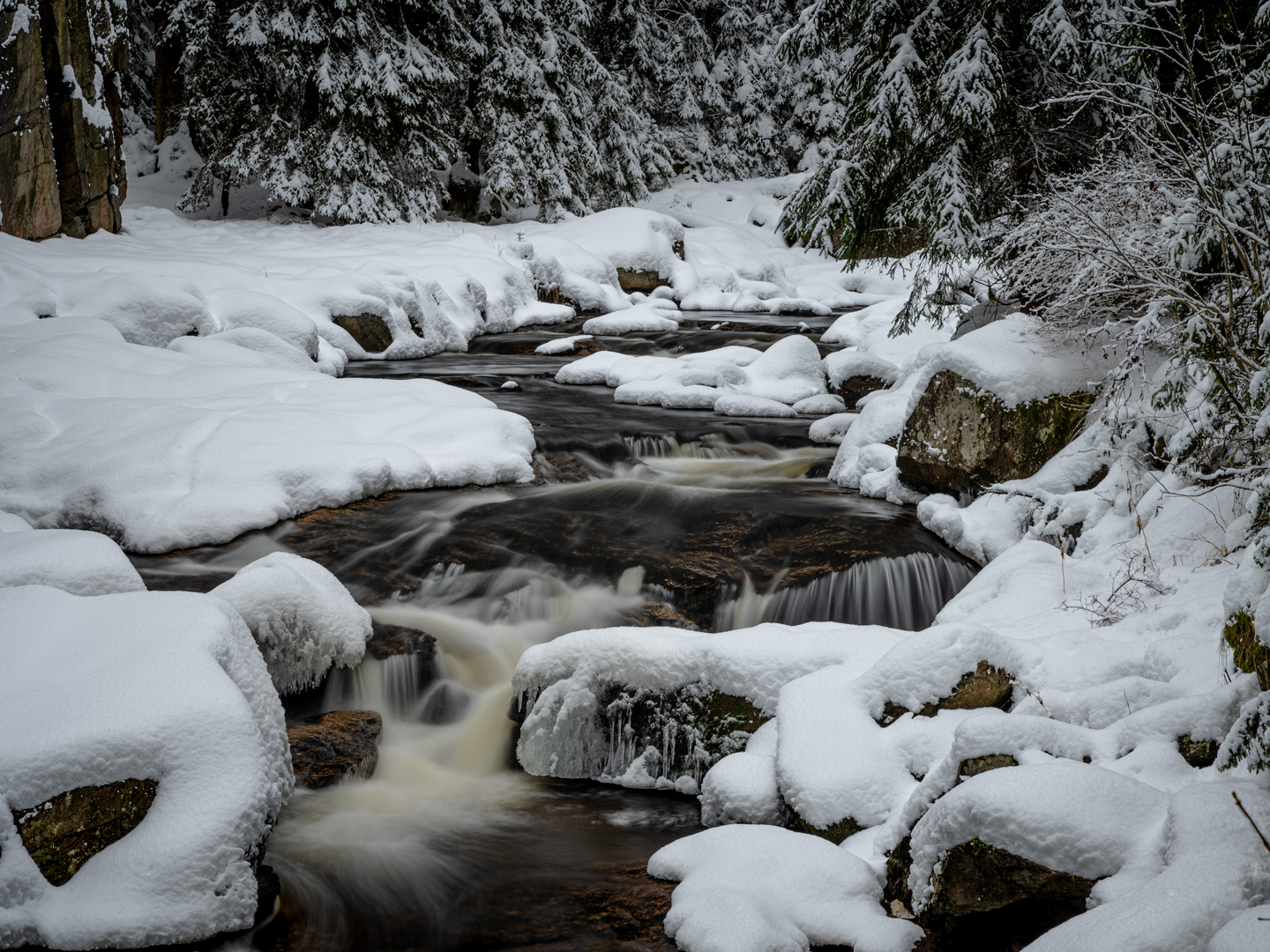 Winterland