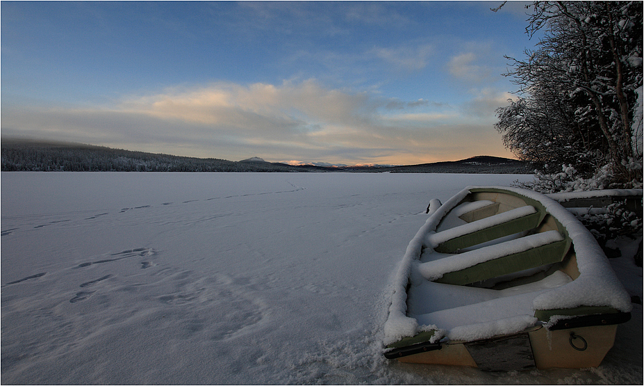 Winterland