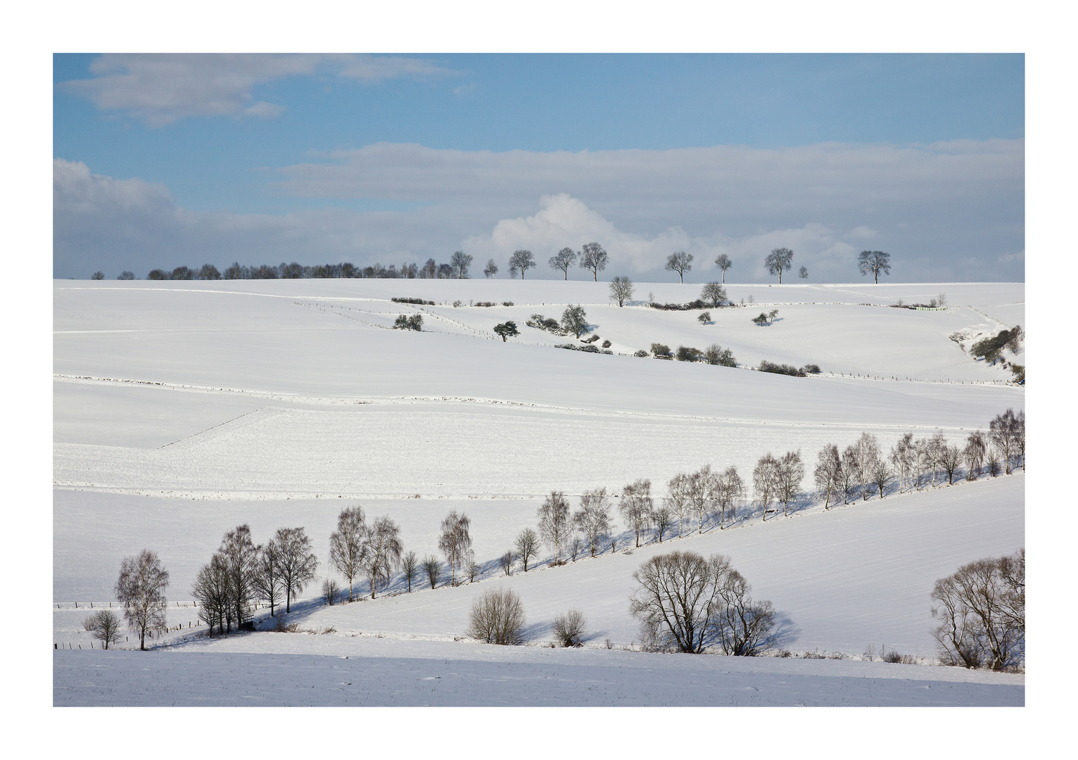 Winterland