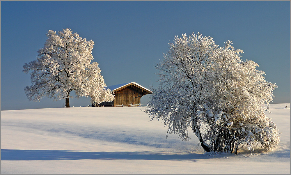 Winterland