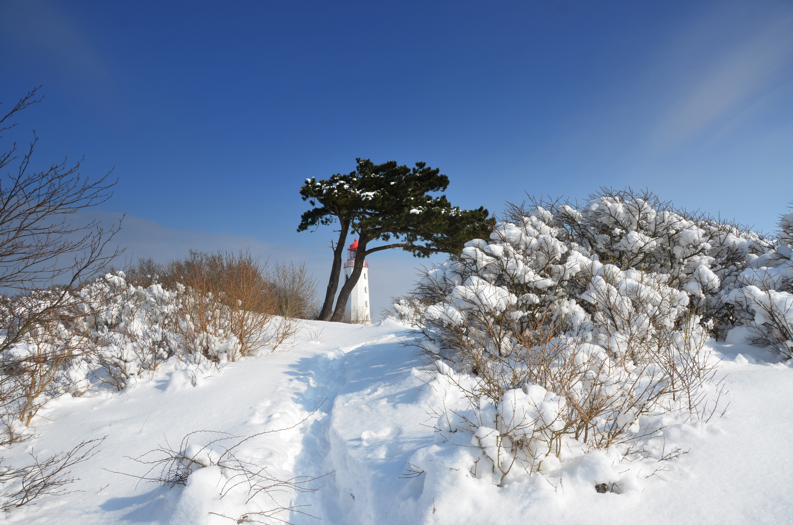 Winterland am Leuchtturm Dornbusch