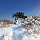 Winterland am Leuchtturm Dornbusch