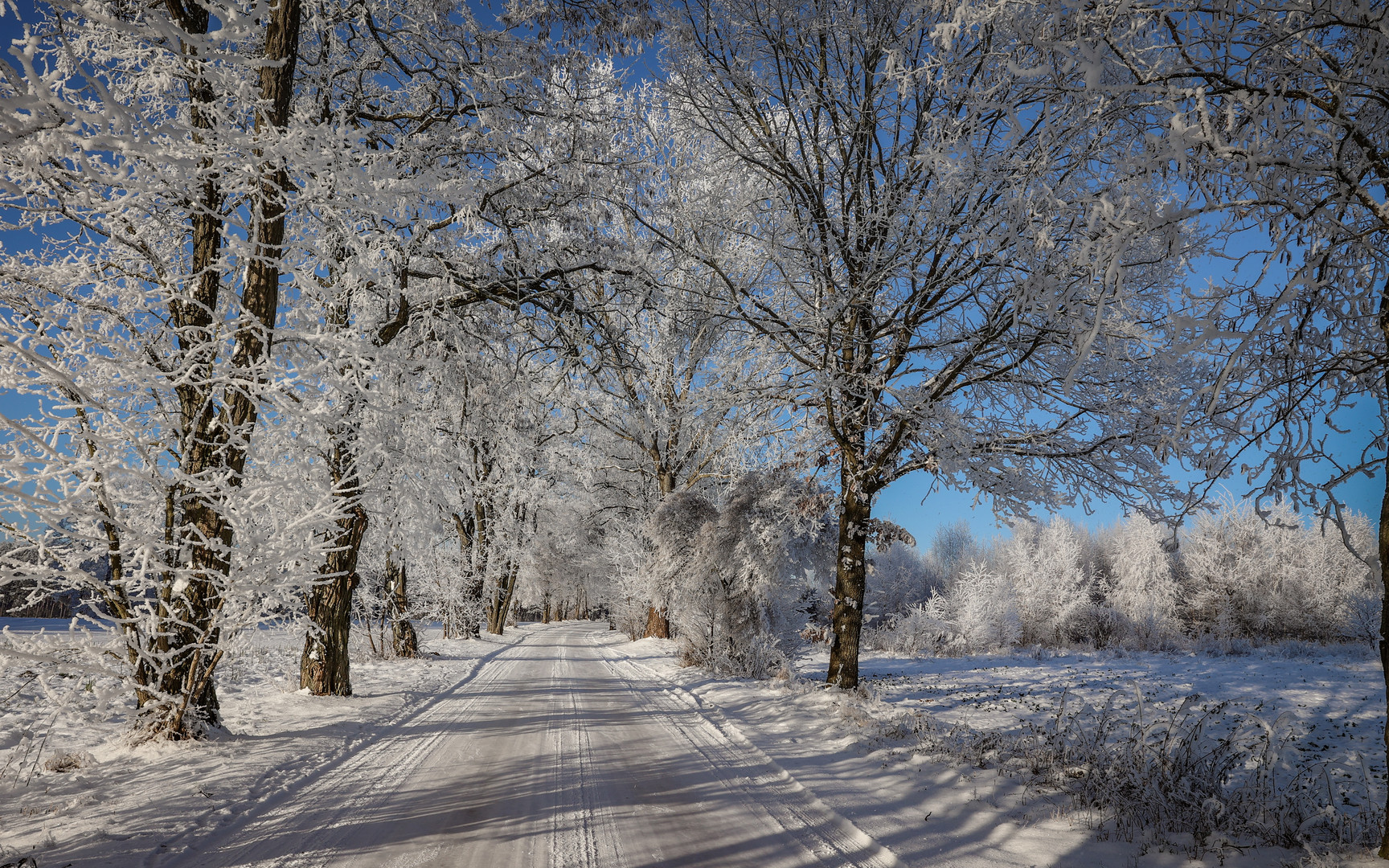 Winterland