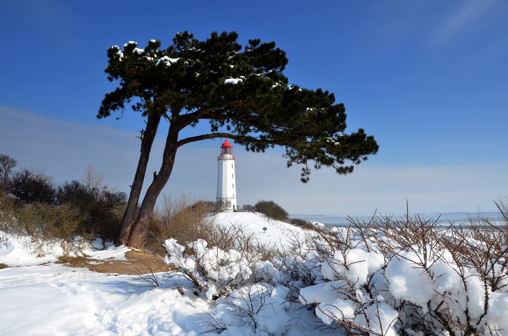 Winterland Hiddensee  mi Leuchtturm Dornbusch 