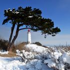 Winterland Hiddensee  mi Leuchtturm Dornbusch 