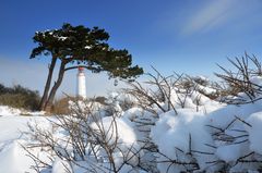 Winterland Hiddensee  mi Leuchtturm Dornbusch 