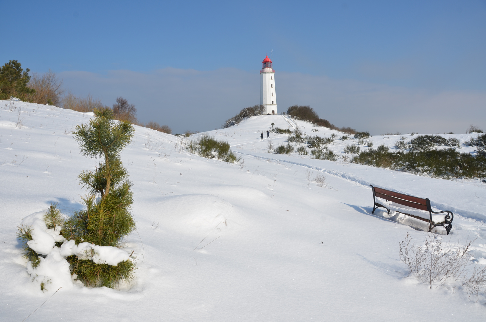 Winterland Hiddensee  mi Leuchtturm Dornbusch 