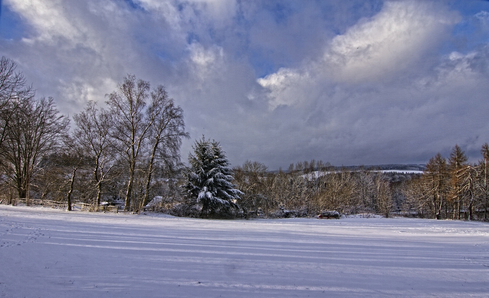 Winterland II