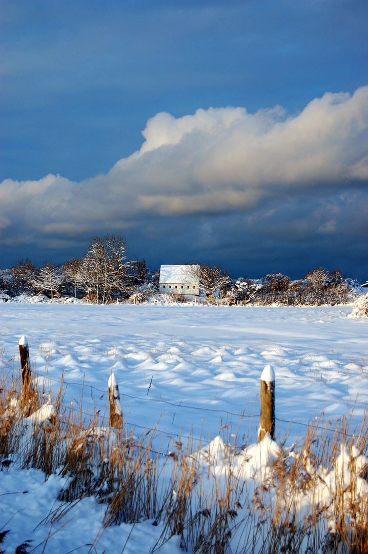 Winterland insel Hiddensee