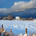 Winterland insel Hiddensee